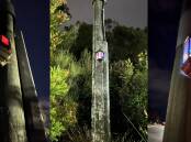 Lord Scabar's latest public art project is bringing a little bit of lamplight to Launceston. Pictures supplied