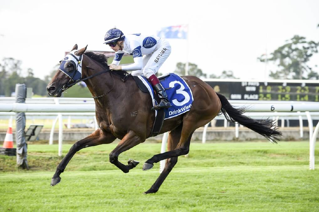 Goldman is favoured to win race 6 *BIG DANCE ELIGIBILITY* BUTERIN L'ESTRANGE GOSFORD GOLD CUP over 2100 METRES. Picture Bradley Photos
